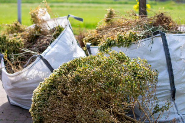 Best Same-Day Junk Removal Services  in Fruitland, IA